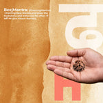3 Mukhi Lab Certified Rudraksha - view 3