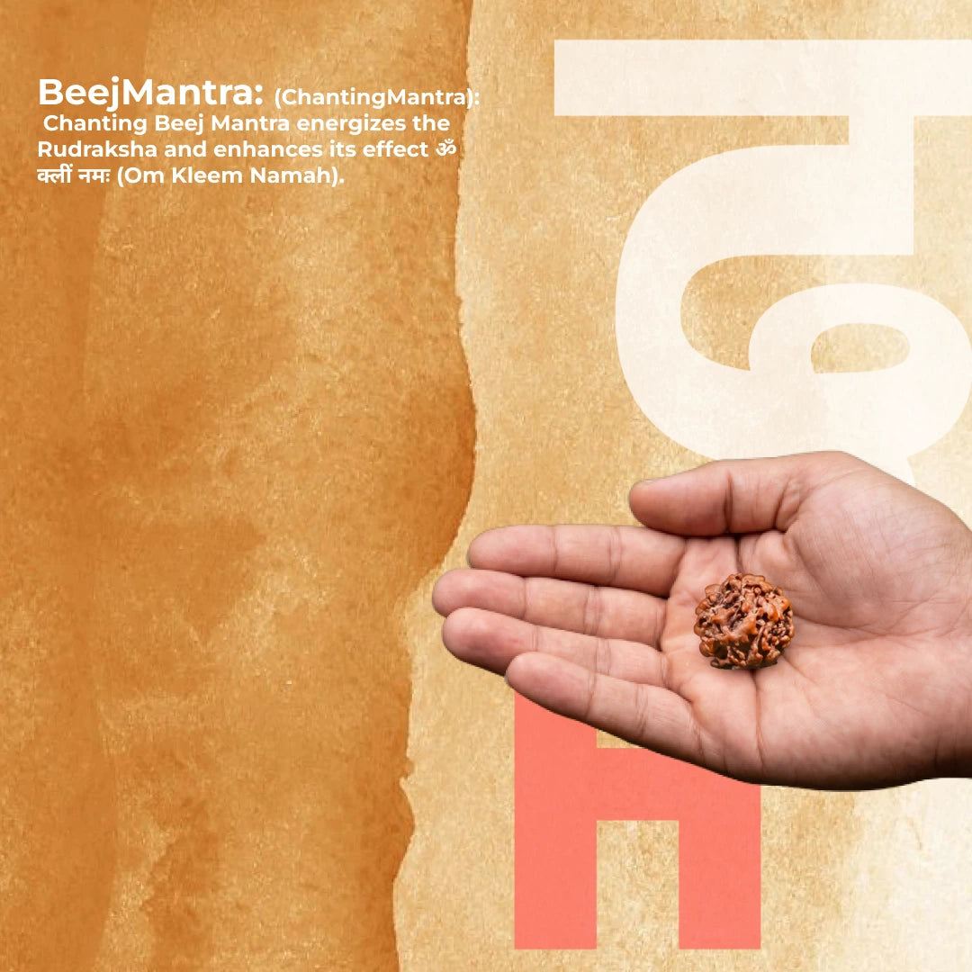 Nirakar (Zero) Mukhi Rudraksha