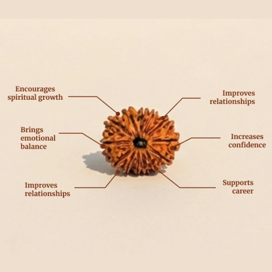 Karungali Rudraksha Mala - 108+1 Beads - view 5