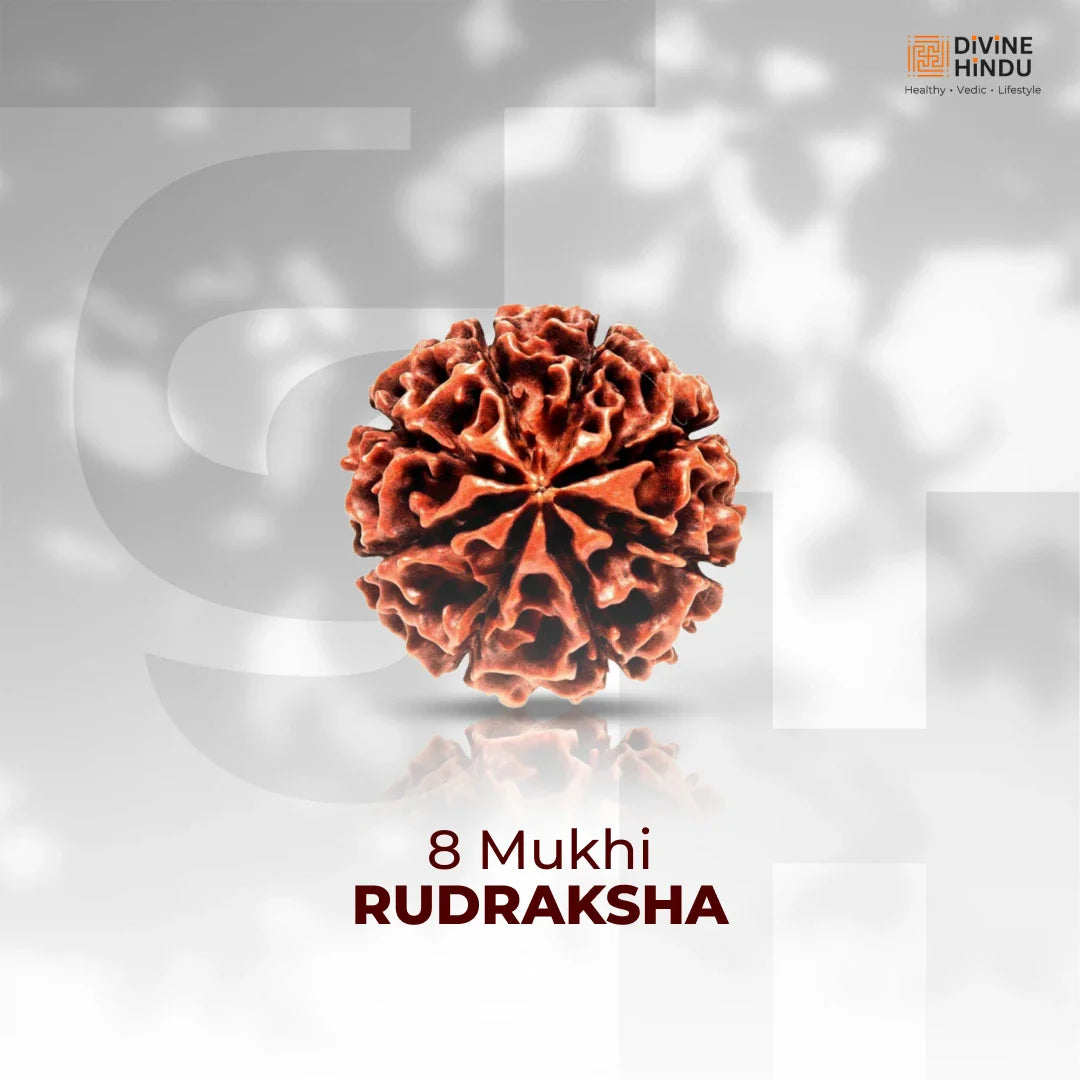 8 Mukhi Lab Tested Certified Rudraksha - view 6