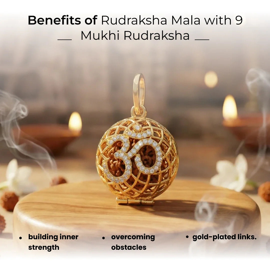 Rudraksha Mala with 9 Mukhi Rudraksha - view 16