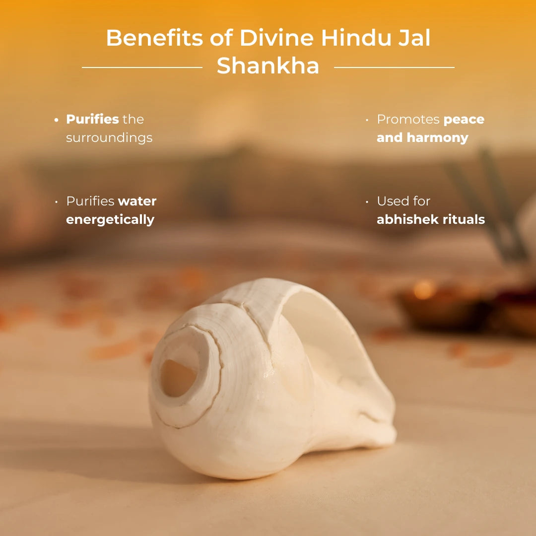 Divine Hindu Jal Shankha - view 3