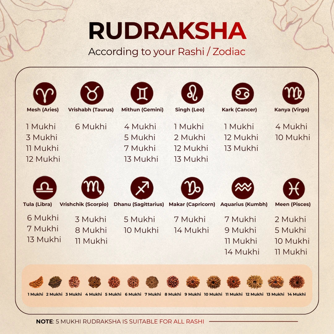 5 Mukhi Lab Tested Certified Nepali Rudraksha
