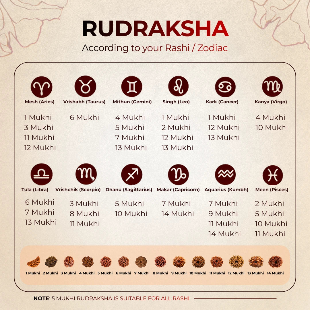10 Mukhi Lab Tested Certified Rudraksha