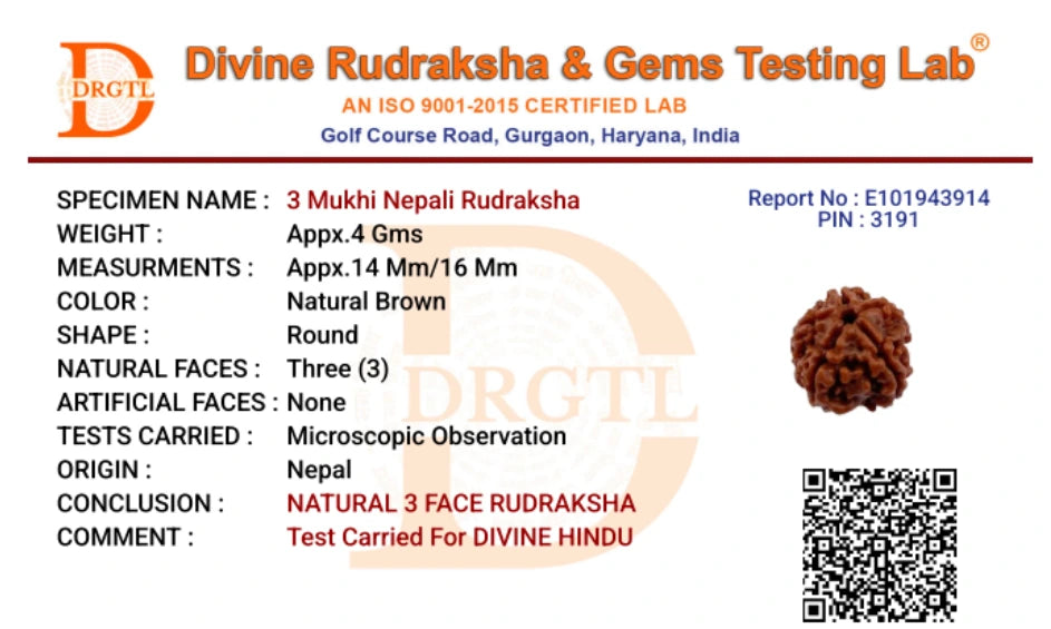 3 Mukhi Lab Certified Rudraksha - view 6