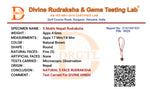 5 Mukhi Lab Tested Certified Nepali Rudraksha - view 4