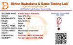 8 Mukhi Lab Tested Certified Rudraksha - view 12