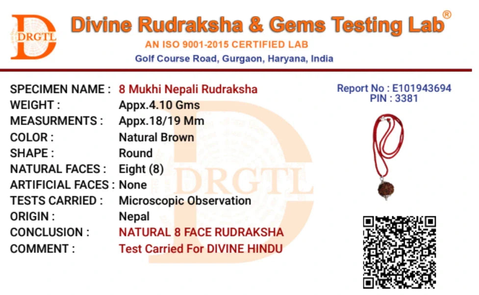 8 Mukhi Lab Tested Certified Rudraksha - view 12