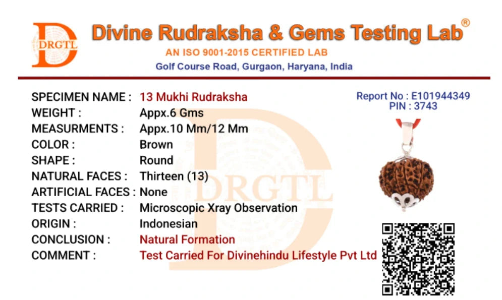 13 Mukhi Lab Tested Certified Rudraksha - view 15
