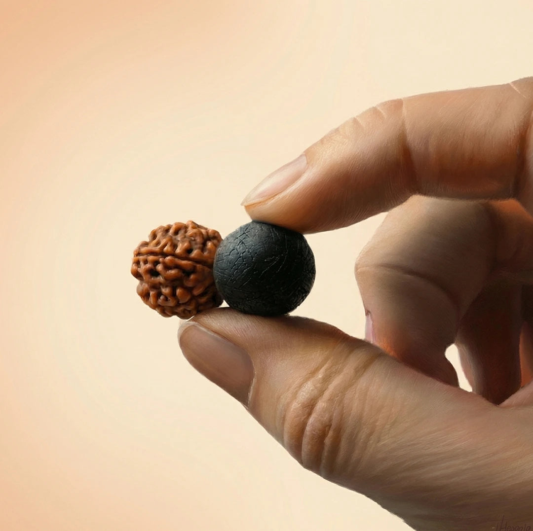 Karungali Rudraksha Bracelet - Natural Ebony Wood & 5 Mukhi Rudraksha Beads - view 9