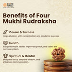 4 Mukhi Rudraksha | Benefits of 4 Mukhi Rudraksha