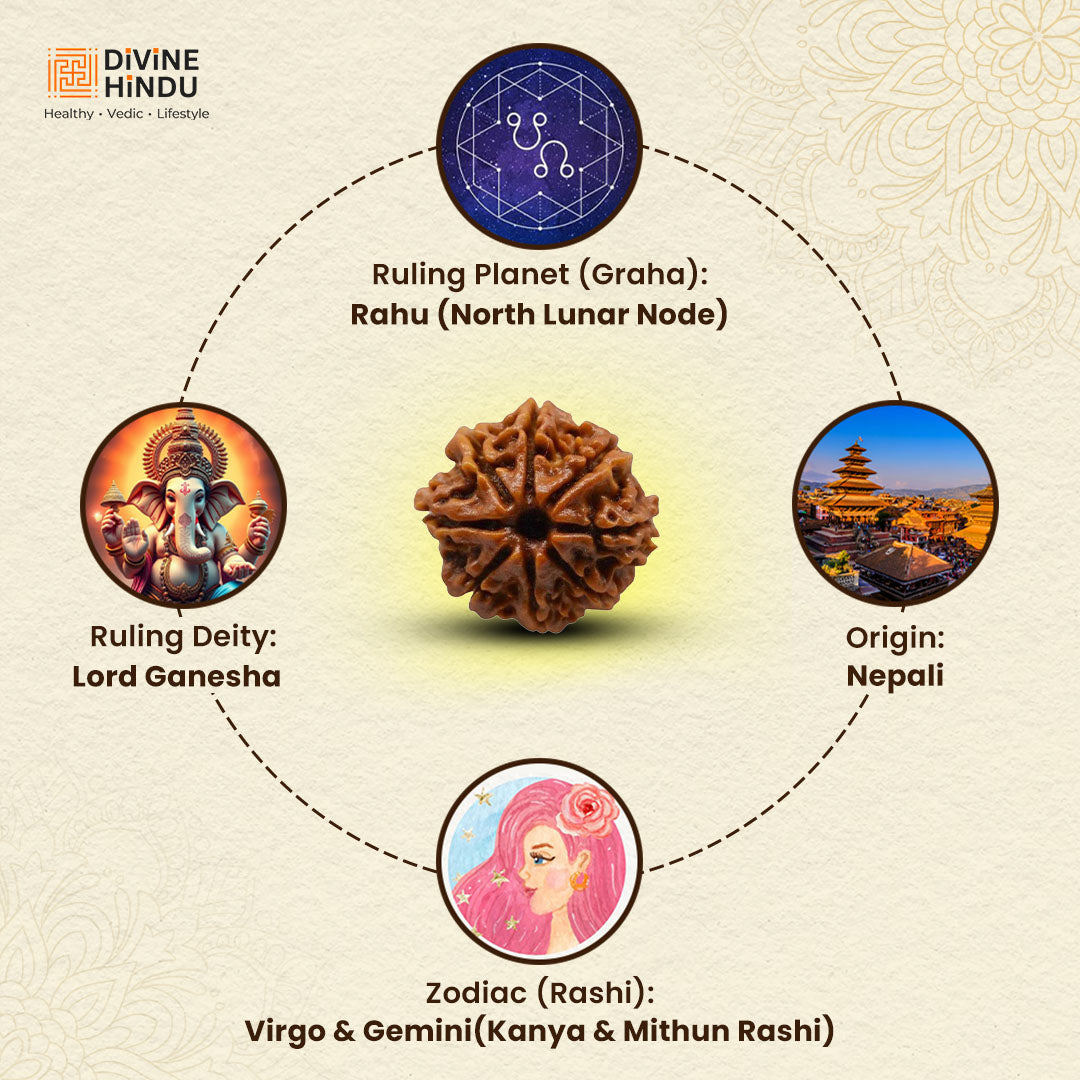 8 Mukhi Lab Tested Certified Rudraksha - view 9