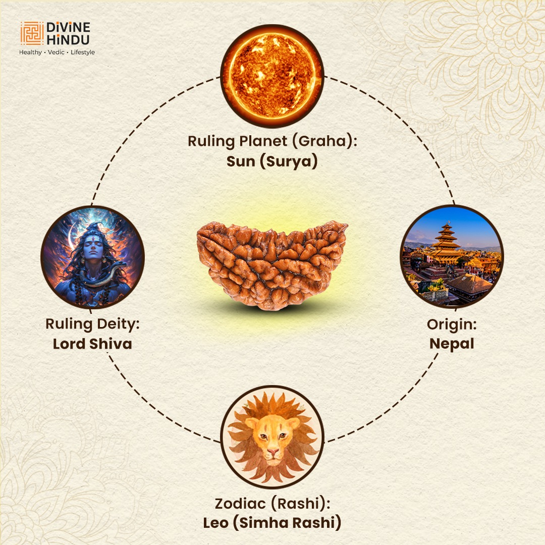 1 Mukhi Rudraksha (Chandrama) bead symbolizing enlightenment and supreme consciousness | Ruling Planet, Ruling Deity, Origin, Zodiac 
