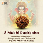 8 Mukhi Lab Tested Certified Rudraksha - view 10