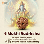 Beej Mantra of 6 Mukhi Rudraksha | Buy 6 Mukhi Rudraksha